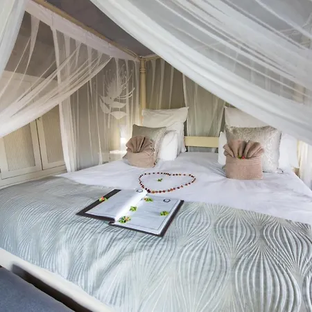 Kambaku Safari Lodge Timbavati Game Reserve Buitenkant foto