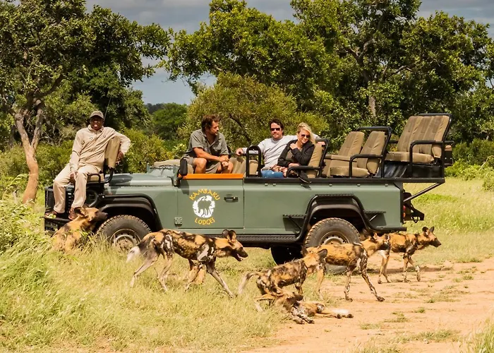 Kambaku Safari Lodge