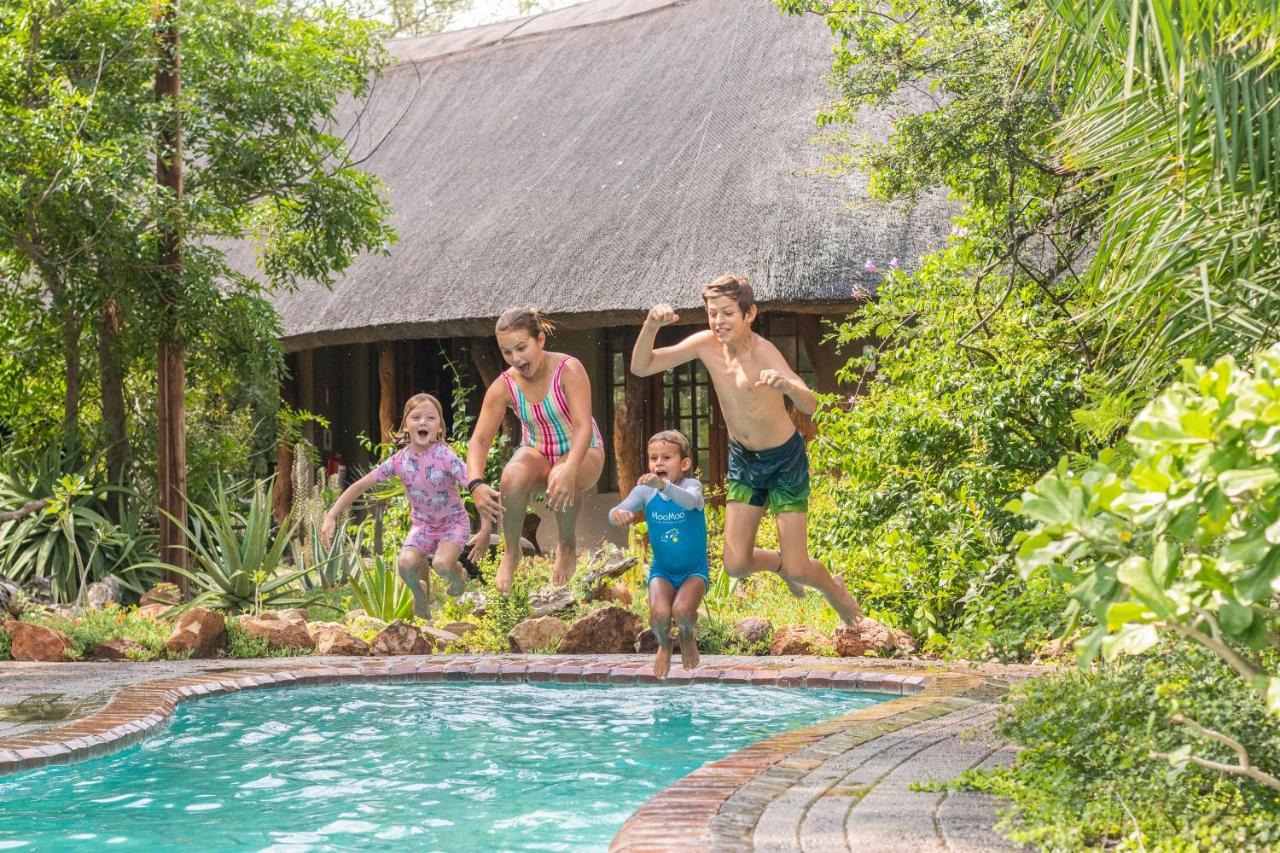 Lodge Kambaku Safari Timbavati Game Reserve