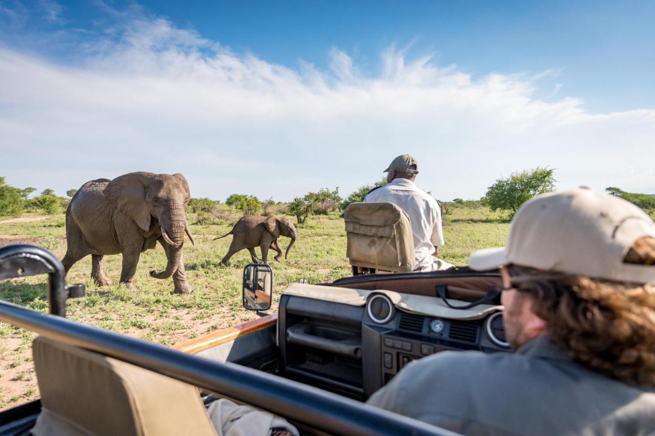 Kambaku Safari Lodge *