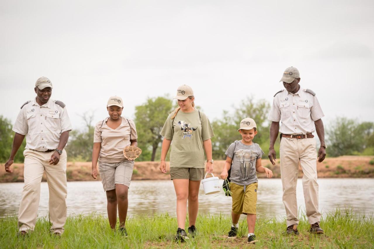 Kambaku Safari * Timbavati Game Reserve