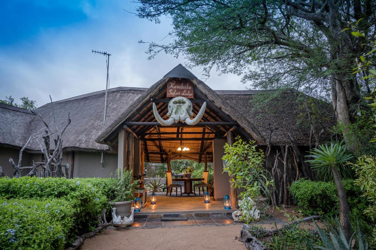 Kambaku Safari Lodge
