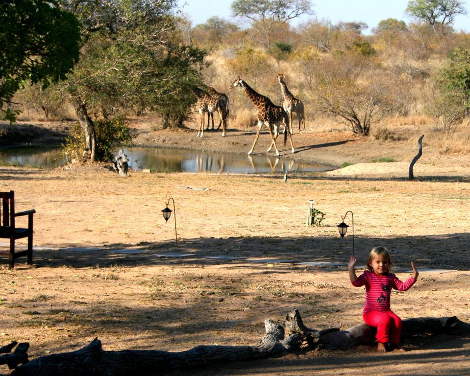 Kambaku Safari Timbavati Game Reserve