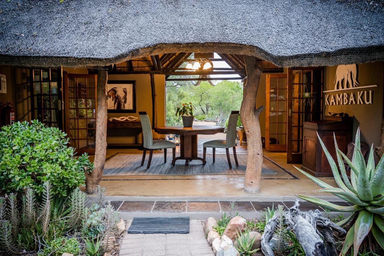 Kambaku Safari * Timbavati Game Reserve