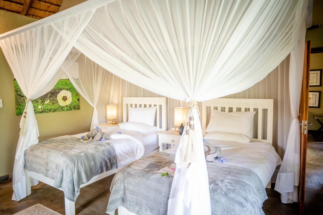 Kambaku Safari Lodge Timbavati Game Reserve