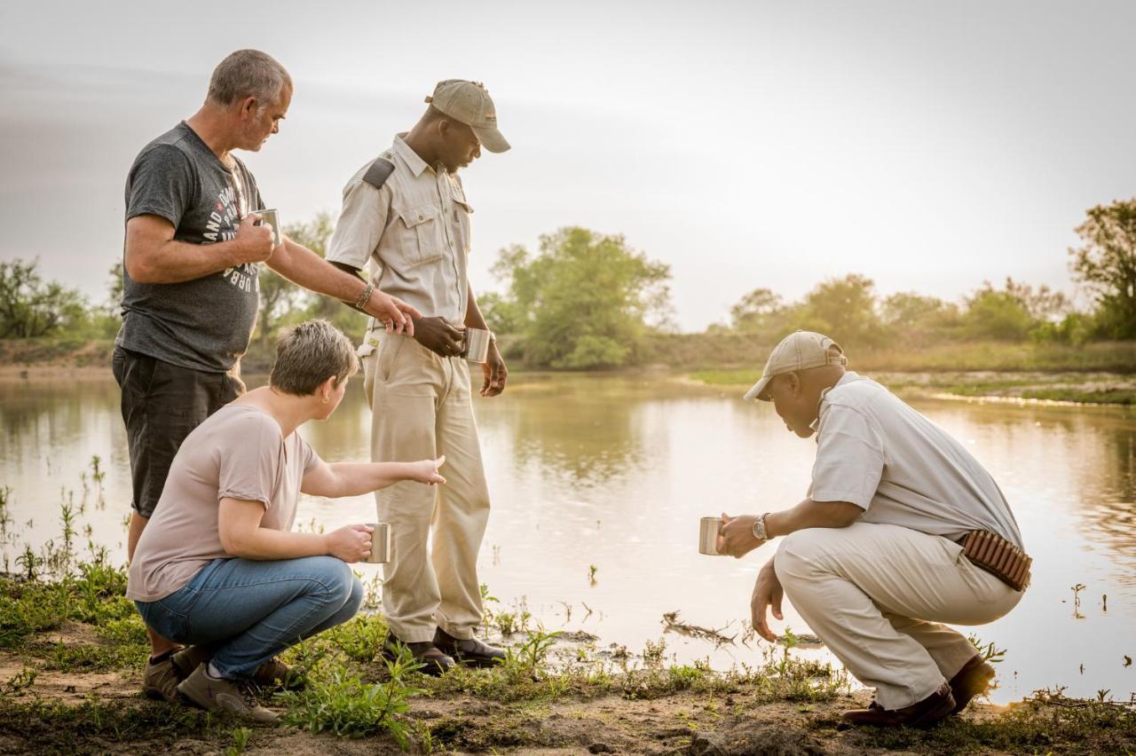 Kambaku Safari *