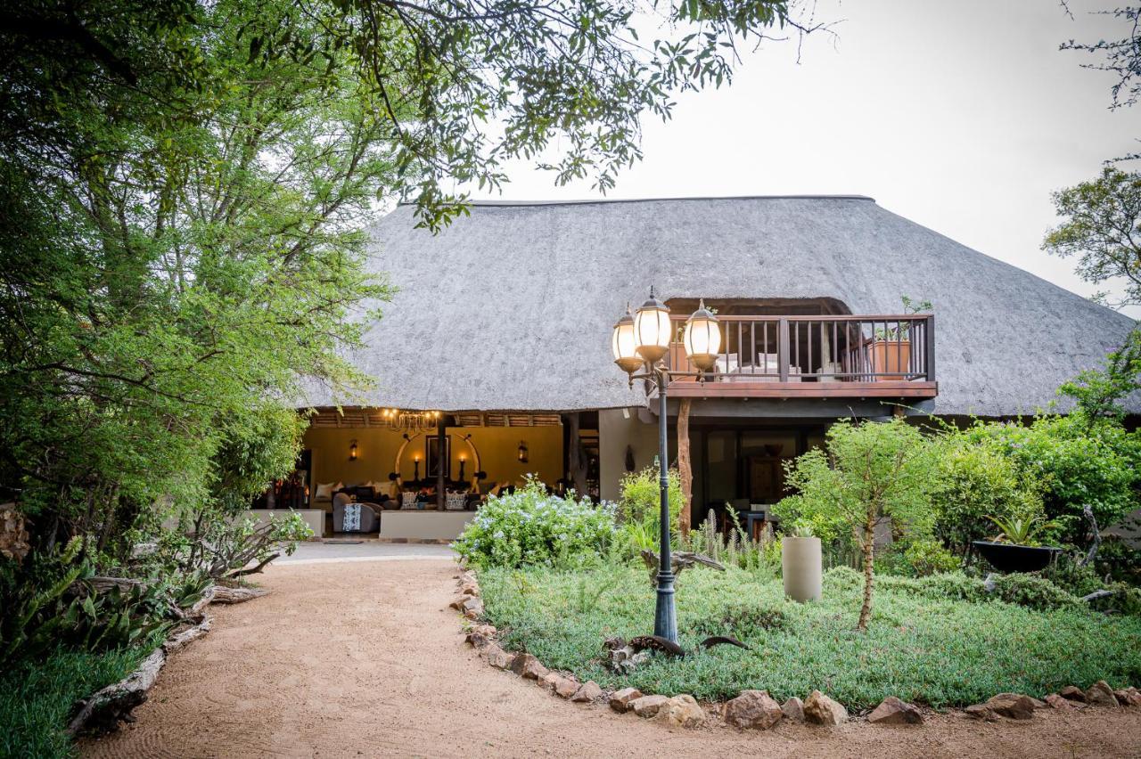 Lodge Kambaku Safari Timbavati Game Reserve