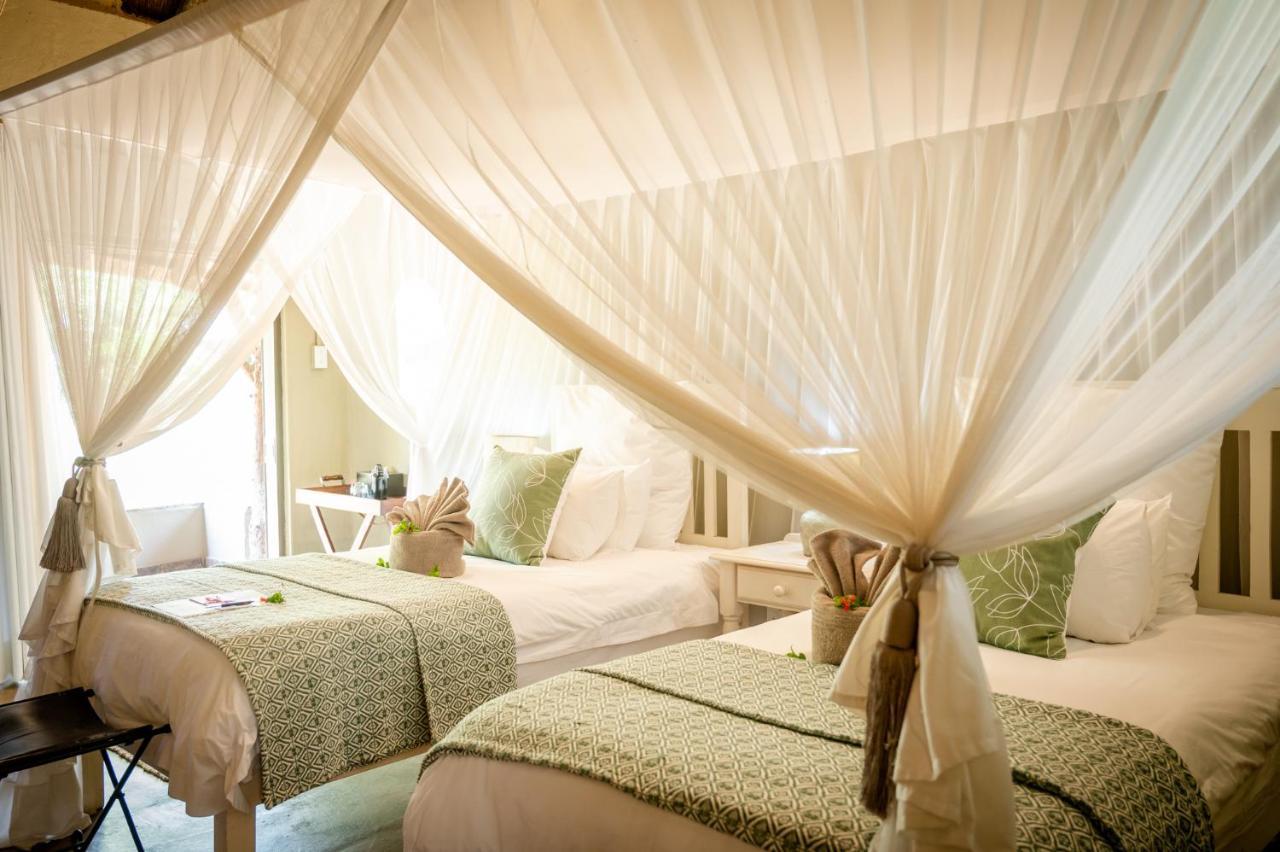 Kambaku Safari Timbavati Game Reserve