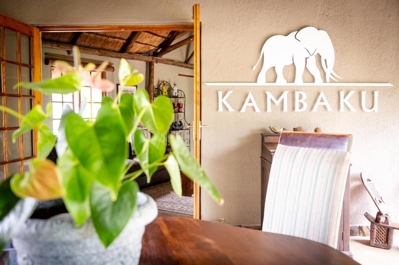 Kambaku Safari * Timbavati Game Reserve