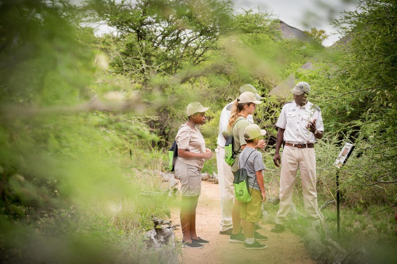 Lodge Kambaku Safari *